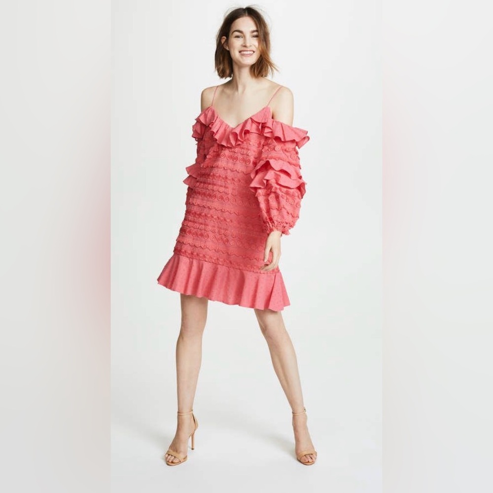 NWT Alexis Calypso Embroidered Mini Dress Size Small
